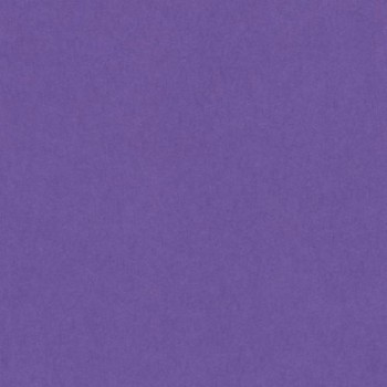 CARTULINA IRIS DINA4 VIOLETA PAQ50