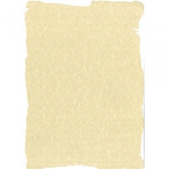 PAPEL APLI PERGAMINO PRECORTADO 95GR 10H