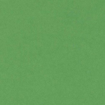 CARTULINA IRIS 50X65 VERDE BILLAR 29