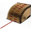 ACORDEON FOLIO BURDEOS