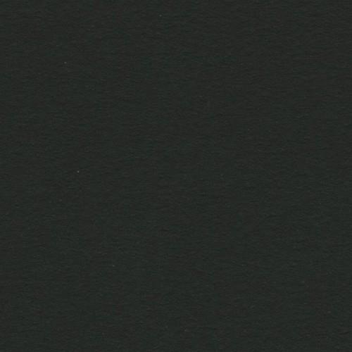 CARTULINA IRIS 50X65 NEGRA 38