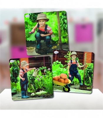 MINILAND SET  3 PUZZLES LAS PLANTAS
